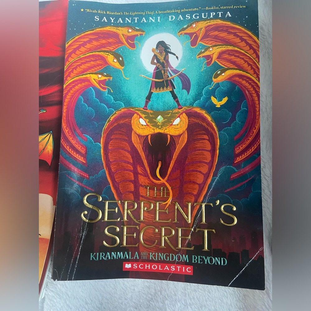 Scholastic Chapter book bundle - Picture 6 of 8
